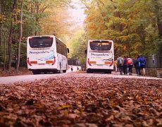 Transport públic integrat Bus Parc